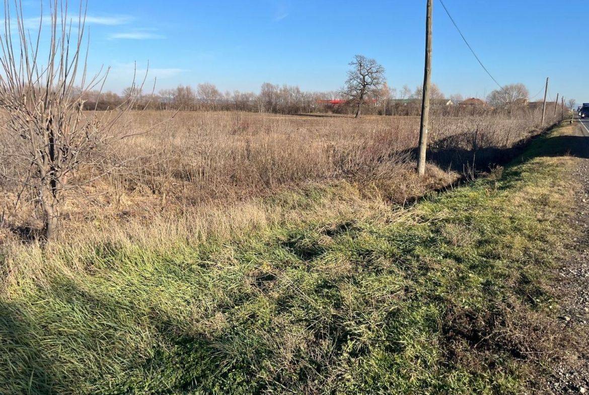 Teren intravilan, Săcădat, 27 921 mp. 9,5 Euro/mp. Comision 0. - foto 4