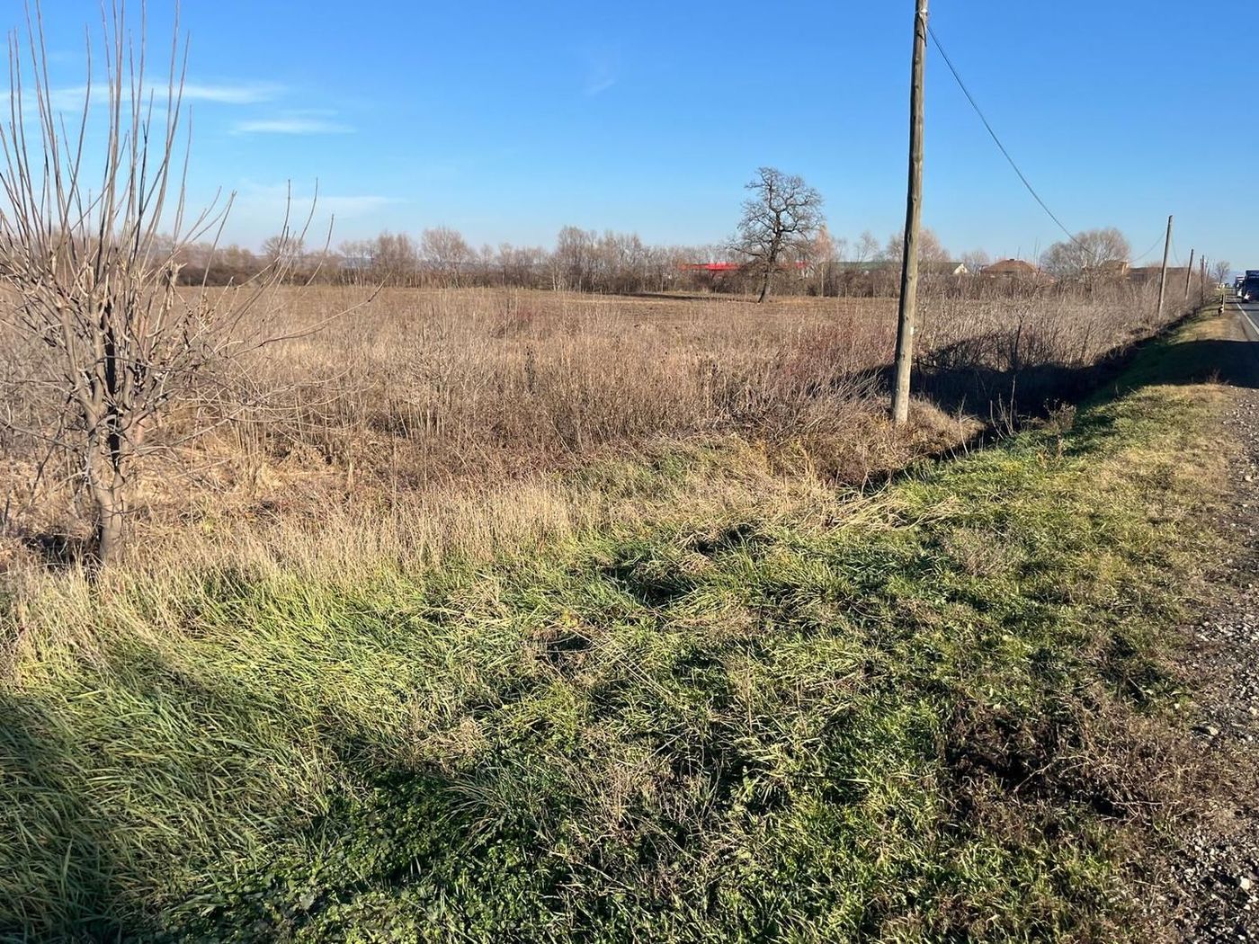 Teren intravilan, Săcădat, 27 921 mp. 9,5 Euro/mp. Comision 0. - foto 4