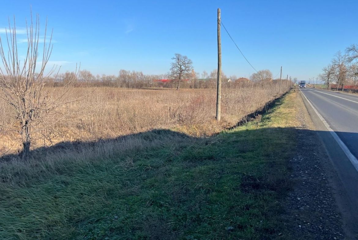 Teren intravilan, Săcădat, 27 921 mp. 9,5 Euro/mp. Comision 0. - foto 8