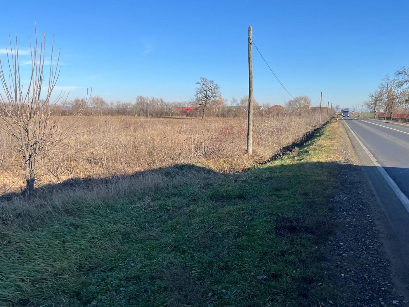 Teren intravilan, Săcădat, 27 921 mp. 9,5 Euro/mp. Comision 0. - foto 8