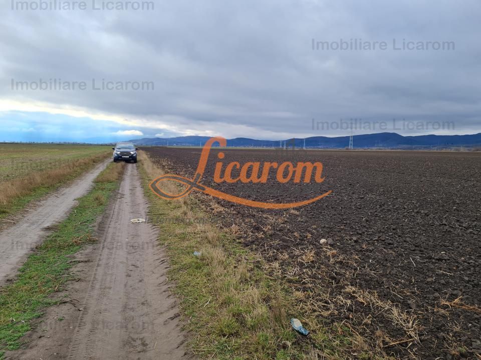 Teren extravilan 2,9 HA,intre Cristian si Vulcan - Imagine principala