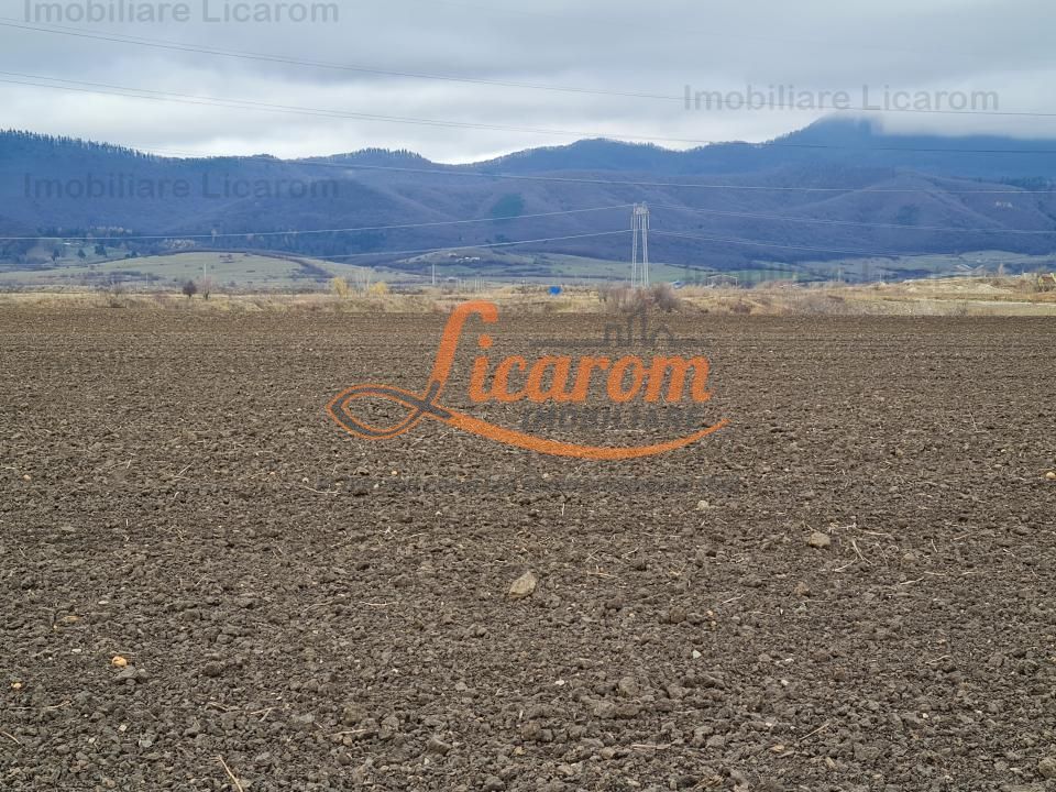 Teren extravilan 2,9 HA,intre Cristian si Vulcan - foto 2