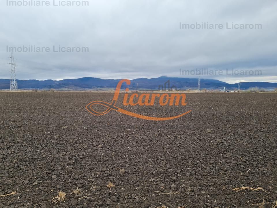 Teren extravilan 2,9 HA,intre Cristian si Vulcan - foto 3