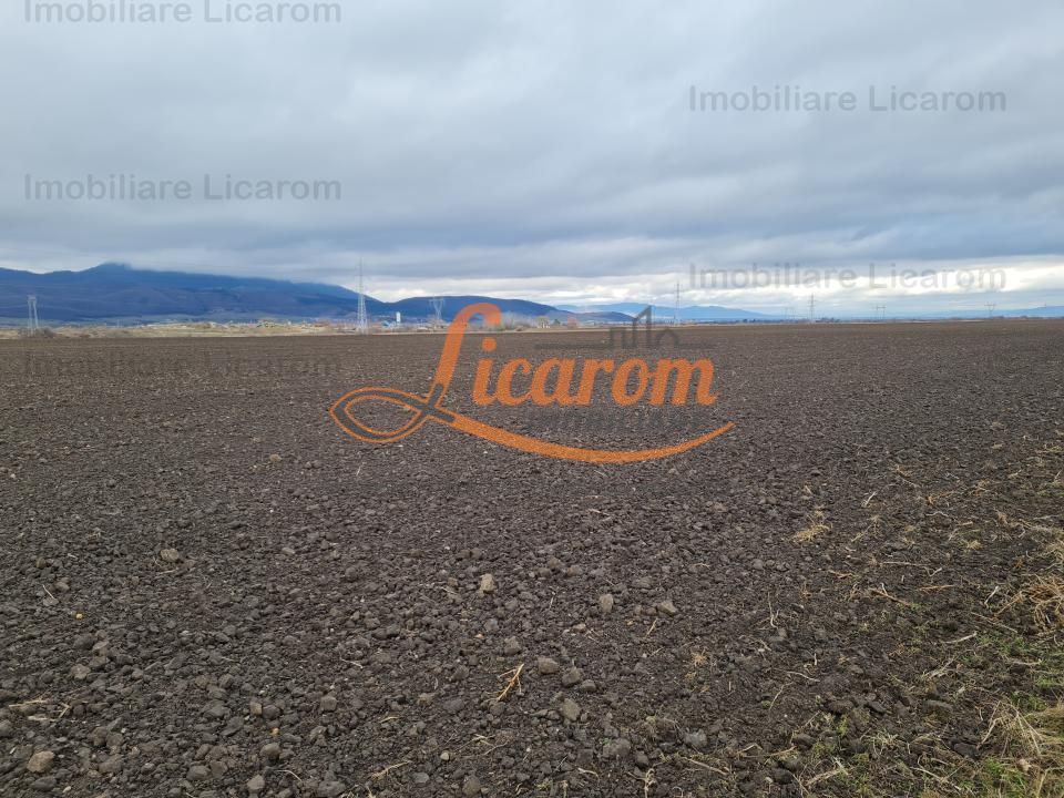 Teren extravilan 2,9 HA,intre Cristian si Vulcan - foto 4