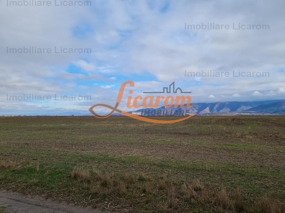 Teren extravilan 2,9 HA,intre Cristian si Vulcan - foto 5