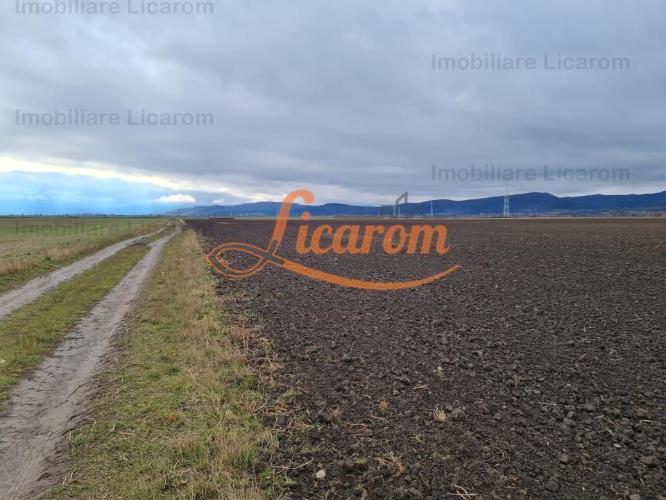 Teren extravilan 2,9 HA,intre Cristian si Vulcan - foto 6