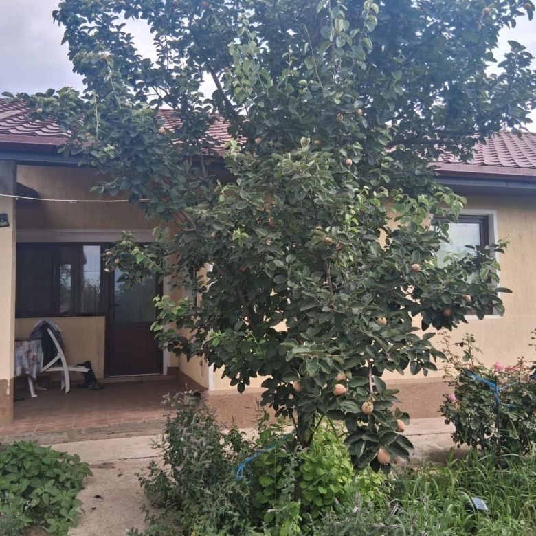 Casa Vânători, 140 mp, teren 1550 mp, toate utilitățile - Imagine principala