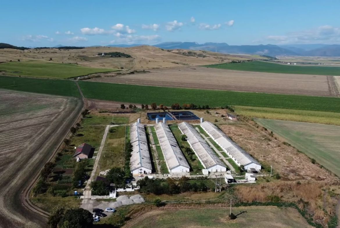 Teren 43884 mp intravilan, 4 hale 6000 mp, nod autostrada, Bogata - Imagine principala