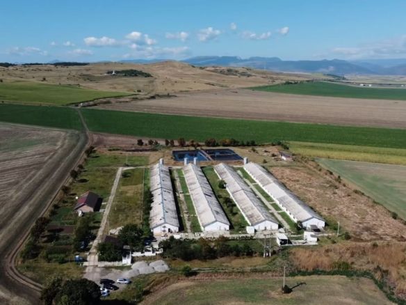 Teren 43884 mp intravilan, 4 hale 6000 mp, nod autostrada, Bogata - Imagine principala
