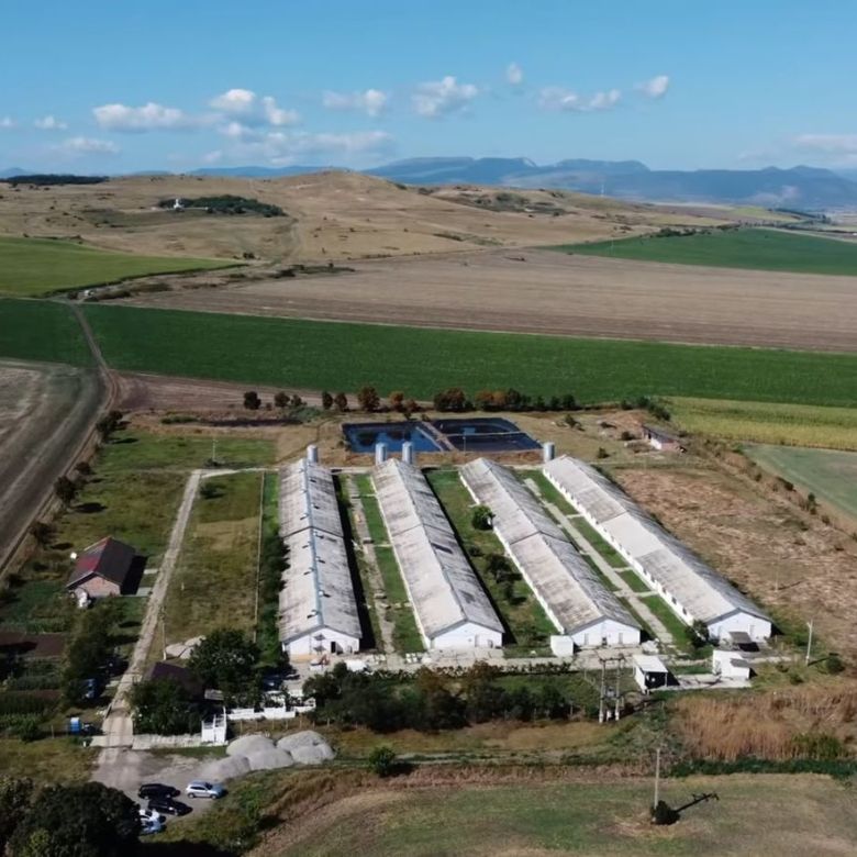Teren 43884 mp intravilan, 4 hale 6000 mp, nod autostrada, Bogata - Imagine principala