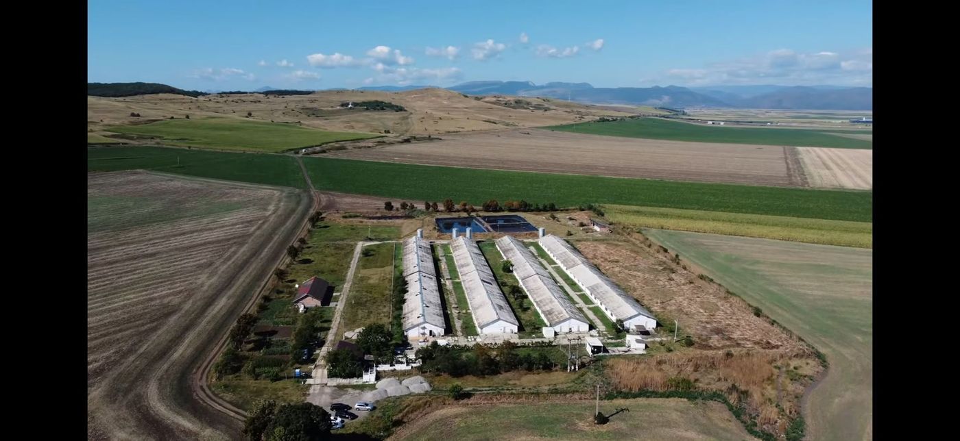 Teren 43884 mp intravilan, 4 hale 6000 mp, nod autostrada, Bogata - Imagine principala Teren 43884 mp intravilan, 4 hale 6000 mp, nod autostrada, Bogata - Imagine principala