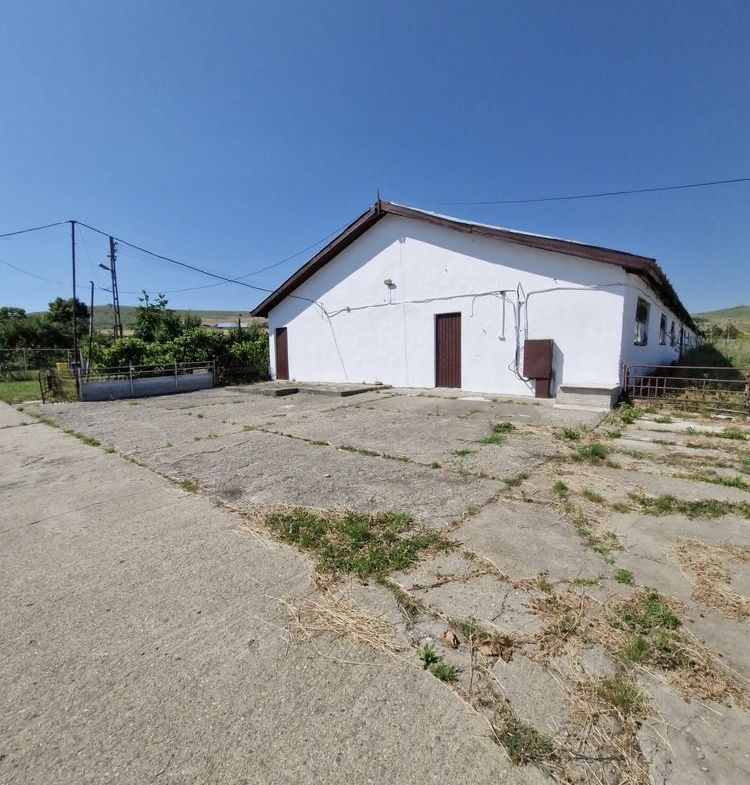Teren 43884 mp intravilan, 4 hale 6000 mp, nod autostrada, Bogata - foto 3