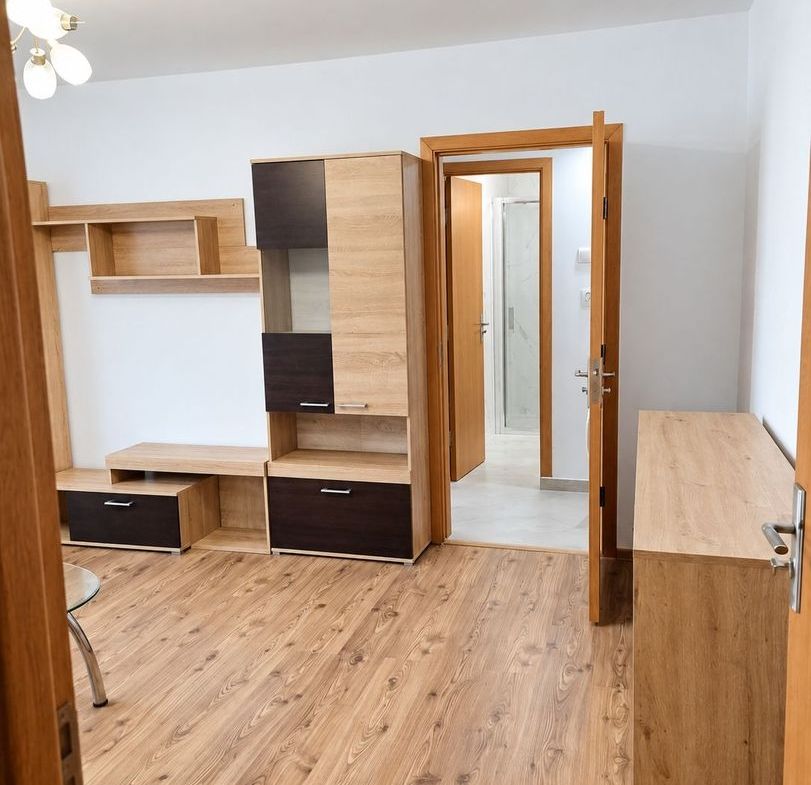 Apartament renovat cu 2 camere și balcon – zona Lugojului - foto 2