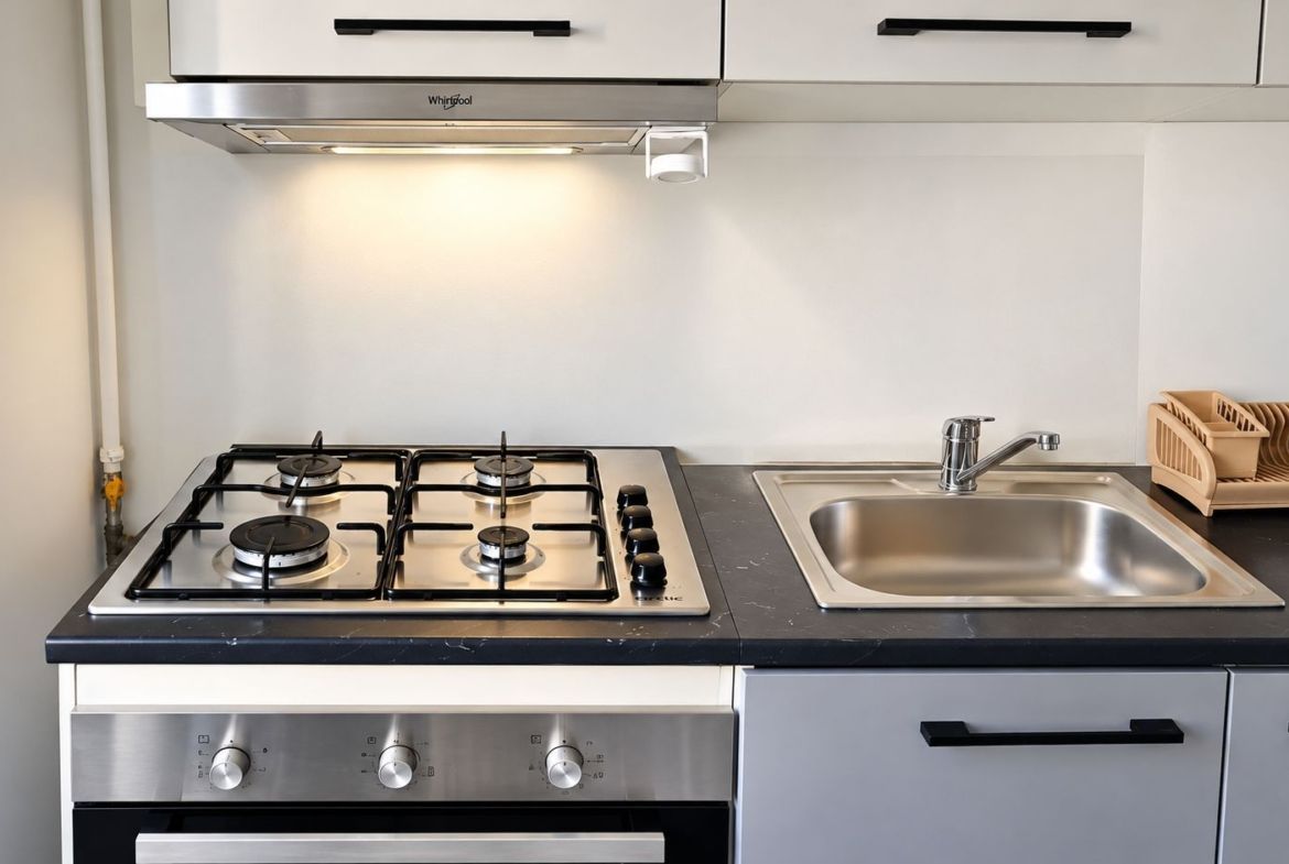 Apartament cu 3 camere - str. Domneasca, ultracentral, bloc nou - 700 euro - foto 3