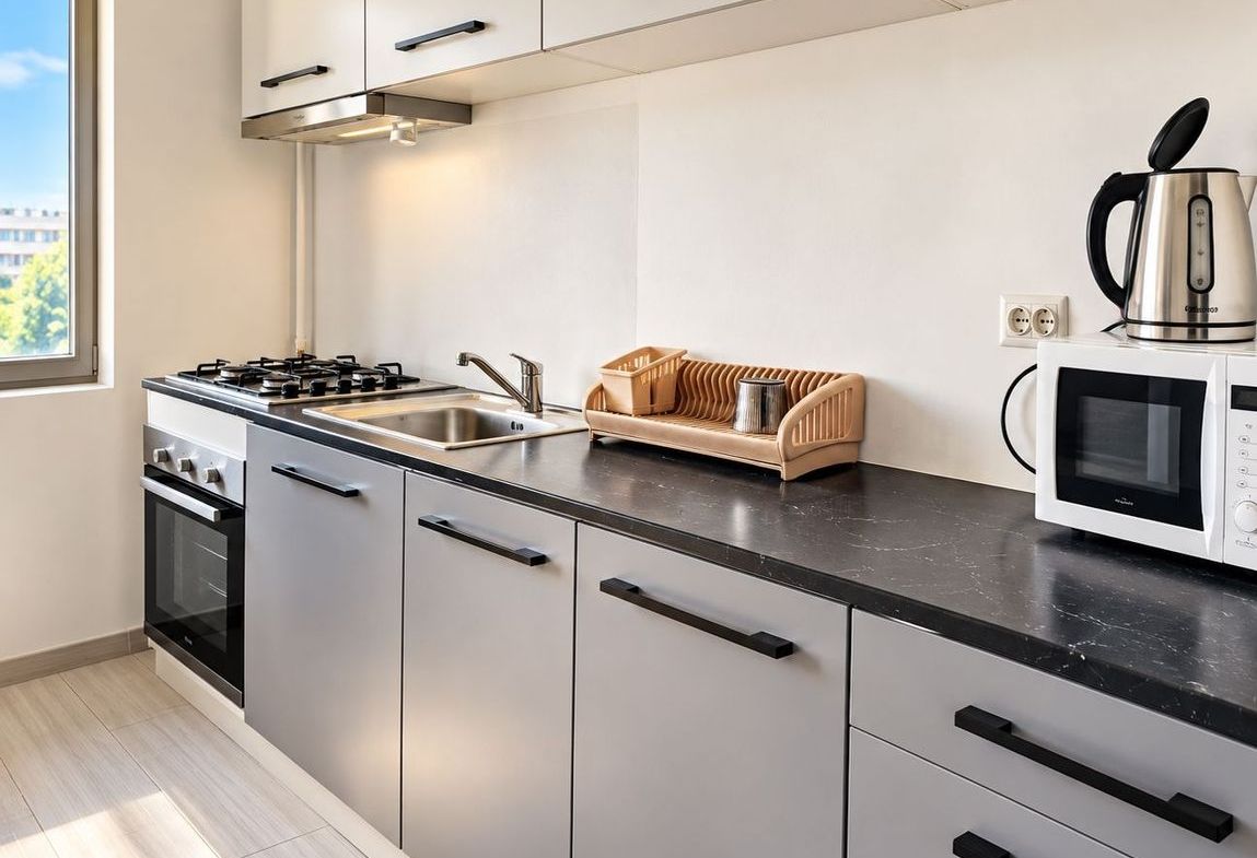 Apartament cu 3 camere - str. Domneasca, ultracentral, bloc nou - 700 euro - foto 7