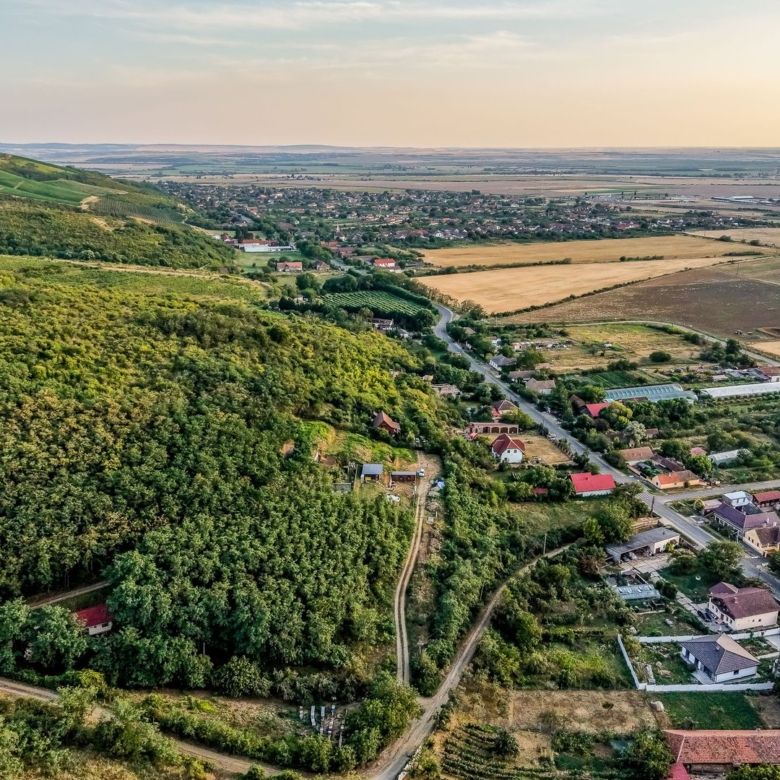 Teren în Miniș, pe deal, 1.150 mp, front 26 m, Drumul Vinului - Imagine principala