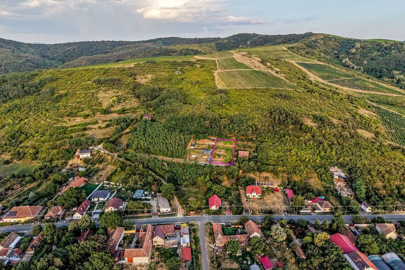 Teren în Miniș, pe deal, 1.150 mp, front 26 m, Drumul Vinului - foto 4