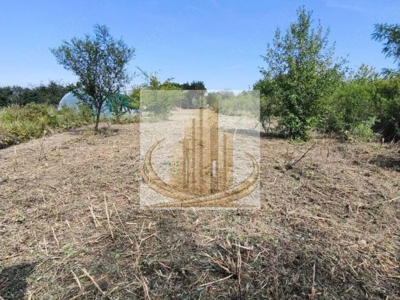 Teren 5.800 mp Timișoara Ghiroda - Imagine principala