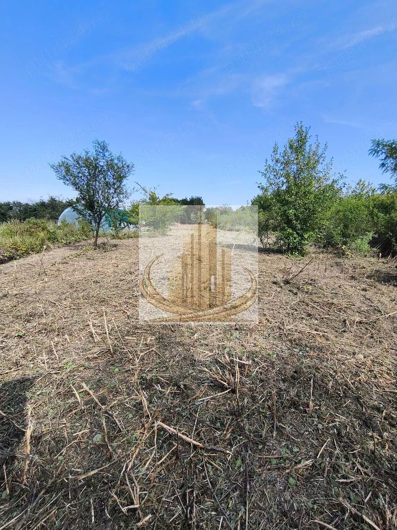 Teren 5.800 mp Timișoara Ghiroda - Imagine principala