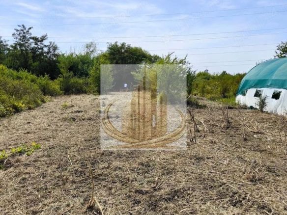 Teren 5.800 mp Timișoara Ghiroda - foto 2