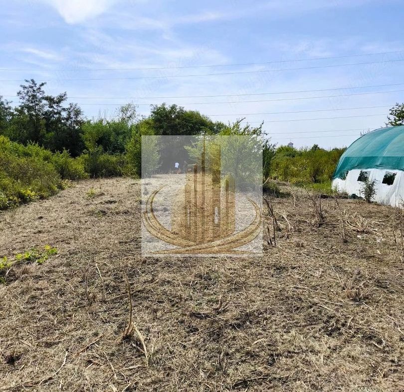 Teren 5.800 mp Timișoara Ghiroda - foto 2