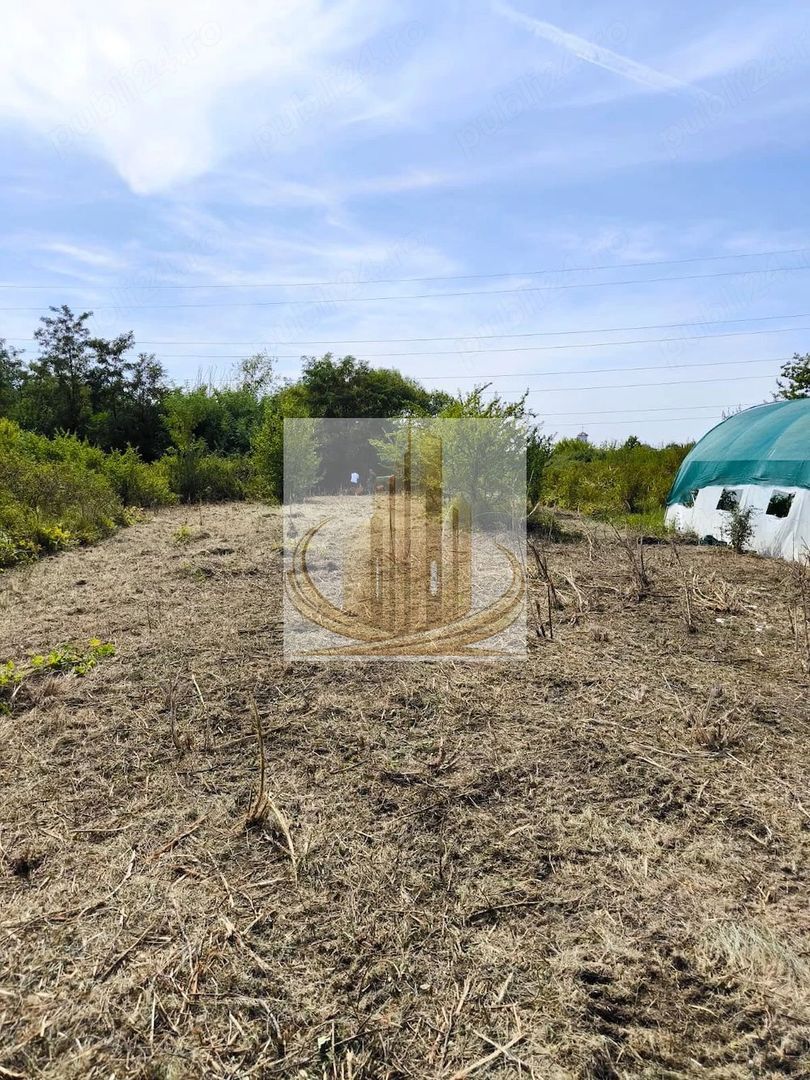 Teren 5.800 mp Timișoara Ghiroda - foto 2