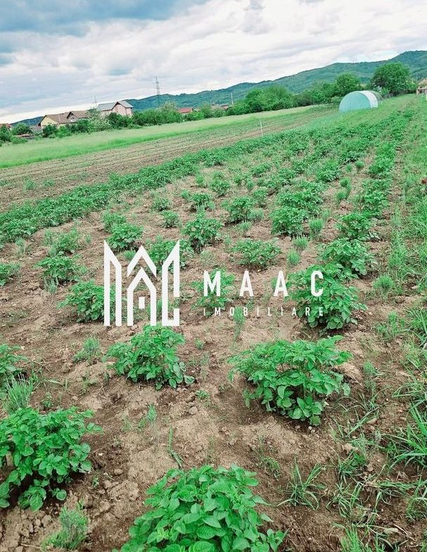 Teren intravilan de vânzare | Râmnicu Vâlcea | 2.800 mp - foto 6