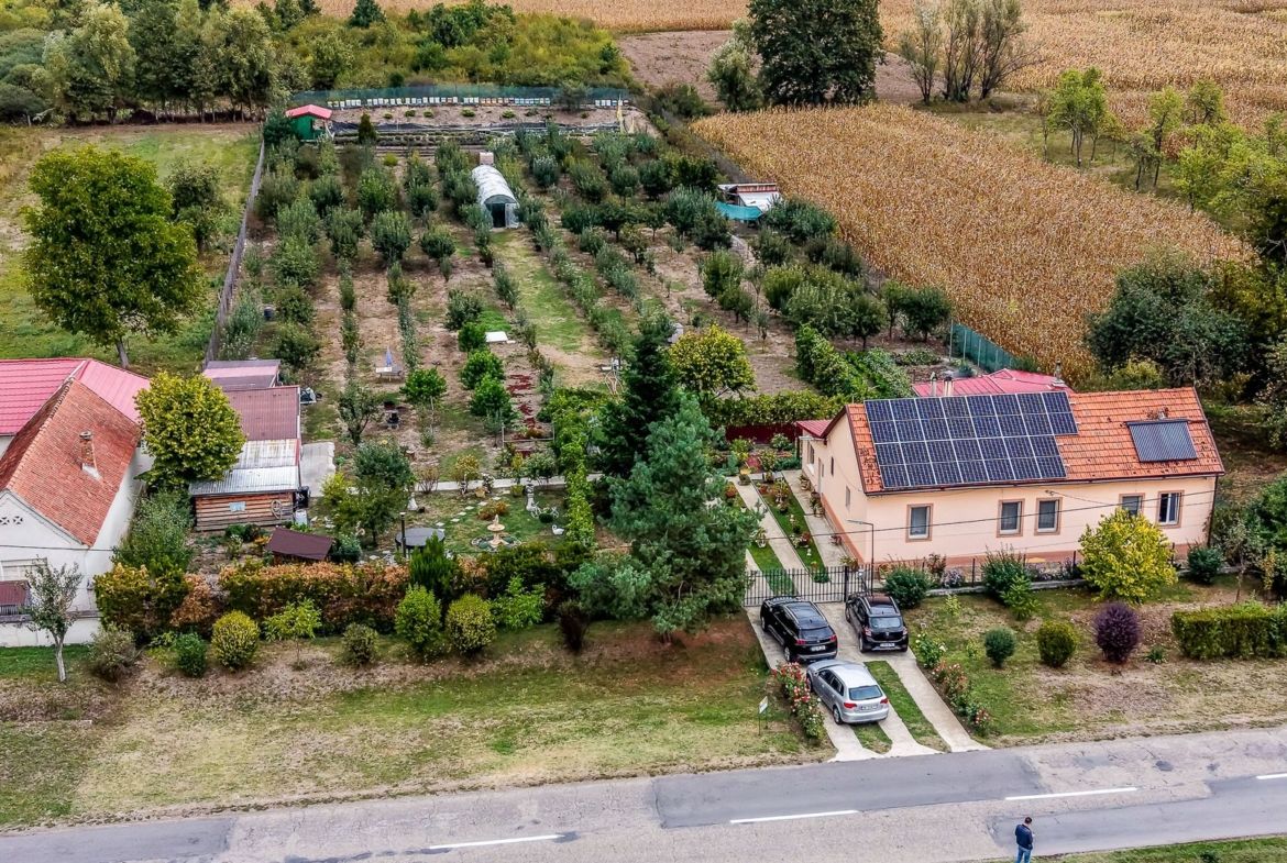 🏡 Mai mult decât o casă: libertatea de a trăi aproape de natură - foto 2