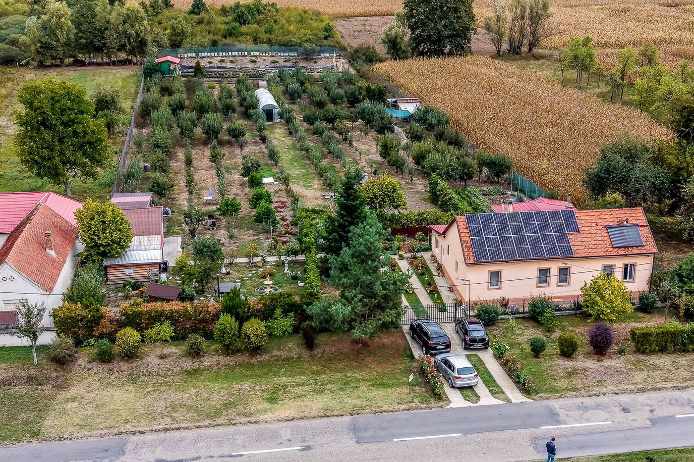 🏡 Mai mult decât o casă: libertatea de a trăi aproape de natură - foto 2