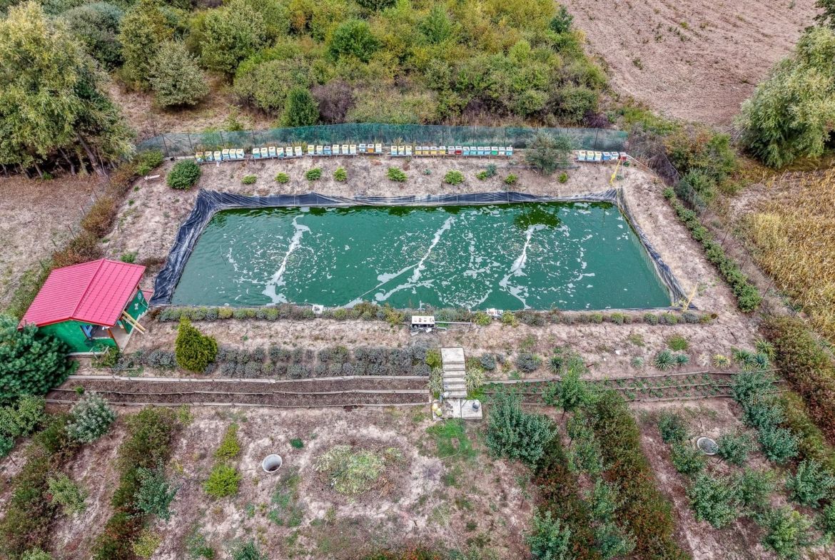 🏡 Mai mult decât o casă: libertatea de a trăi aproape de natură - foto 4