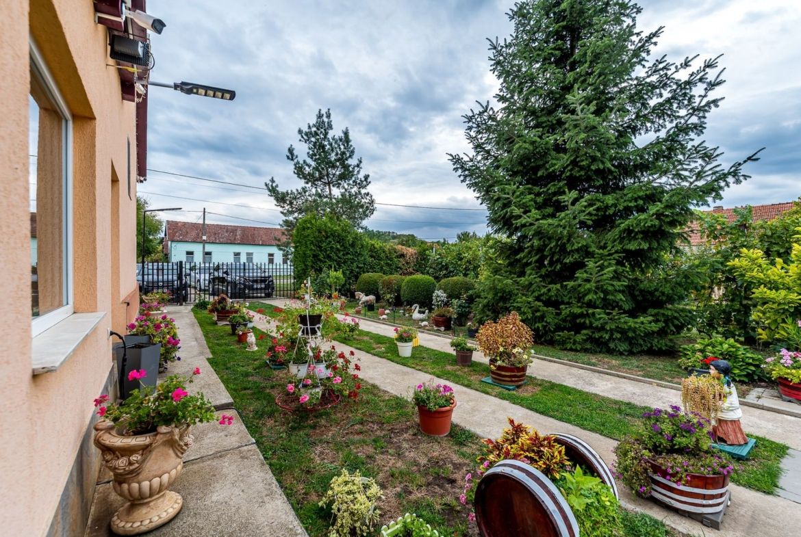 🏡 Mai mult decât o casă: libertatea de a trăi aproape de natură - foto 5
