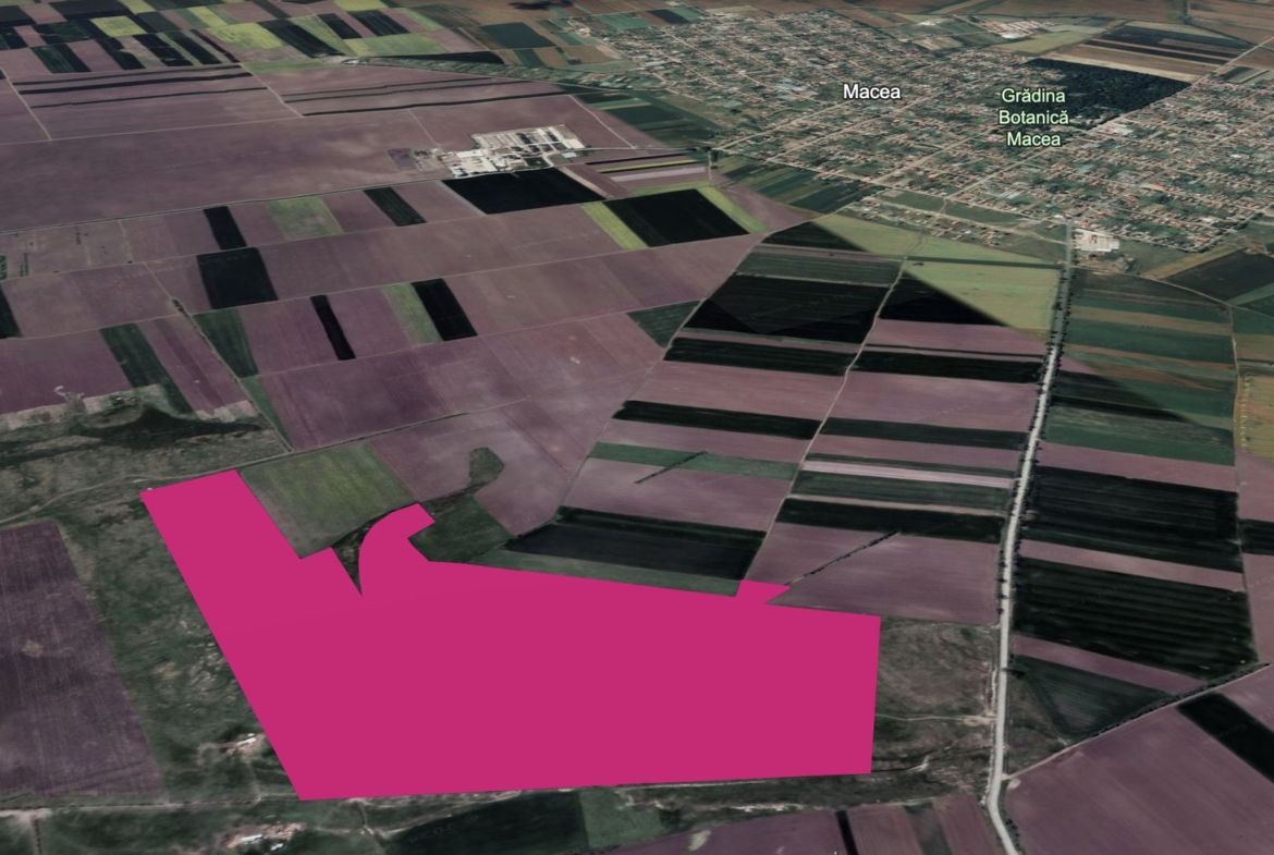 Teren 42 ha pentru parc fotovoltaic – Macea, Arad - Imagine principala