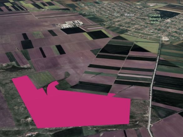 Teren 42 ha pentru parc fotovoltaic – Macea, Arad - Imagine principala