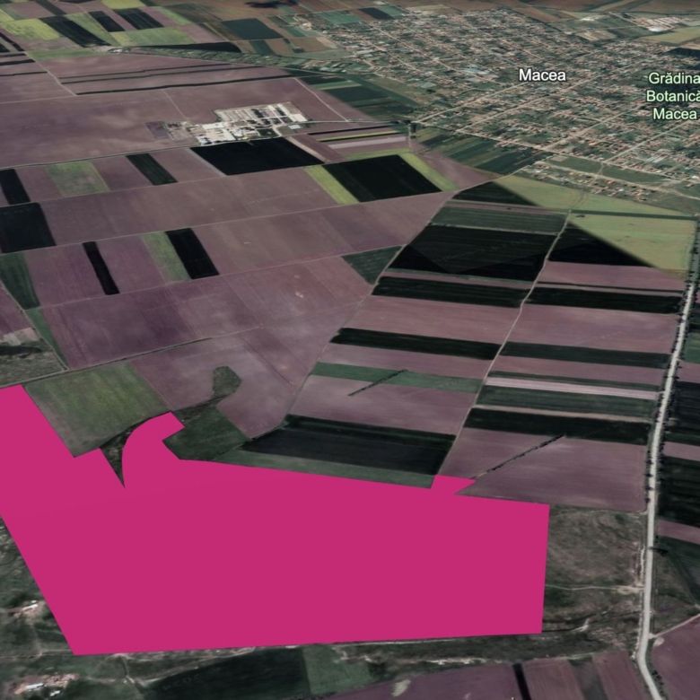 Teren 42 ha pentru parc fotovoltaic – Macea, Arad - Imagine principala
