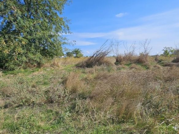 Teren intravilan 1.666 mp – Smârdan – Zonă în dezvoltare, 20 euro/mp - Imagine principala