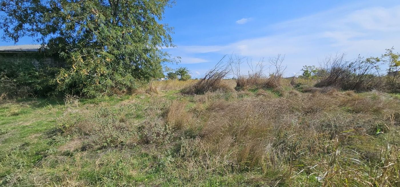 Teren intravilan 1.666 mp – Smârdan – Zonă în dezvoltare, 20 euro/mp - Imagine principala