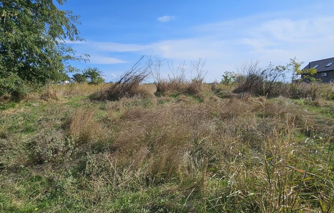 Teren intravilan 1.666 mp – Smârdan – Zonă în dezvoltare, 20 euro/mp - foto 4