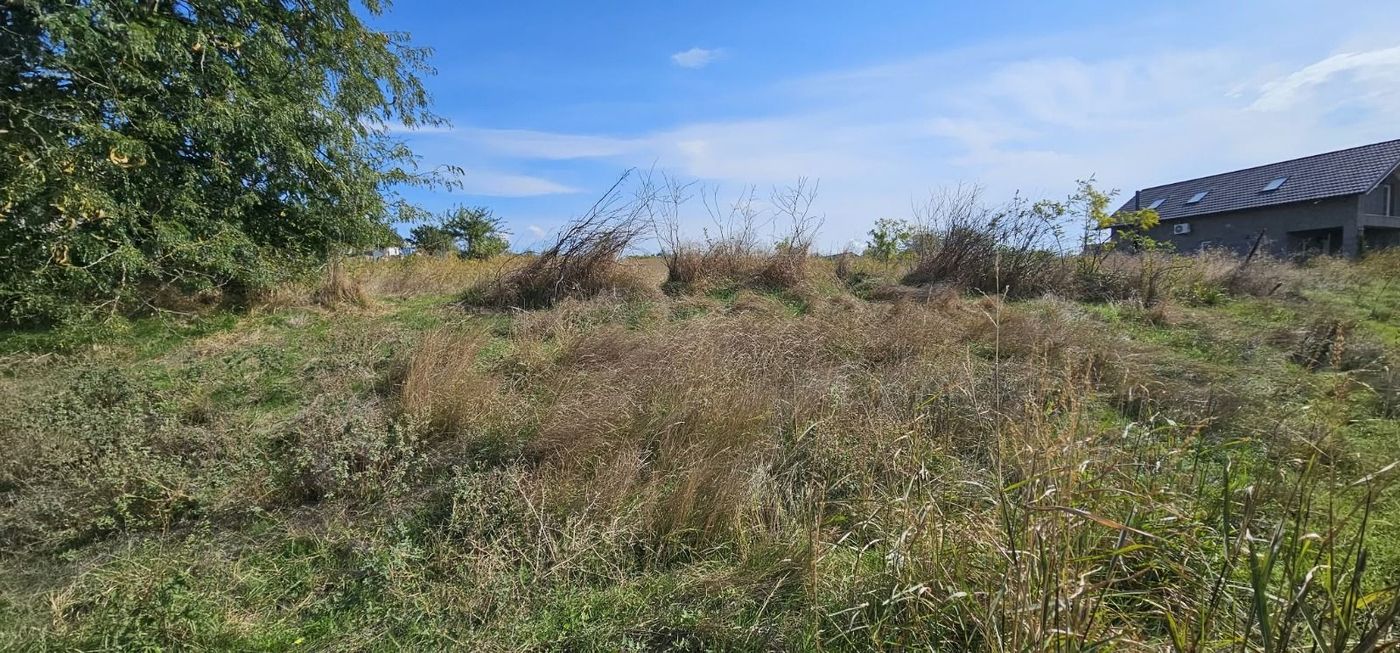 Teren intravilan 1.666 mp – Smârdan – Zonă în dezvoltare, 20 euro/mp - foto 4
