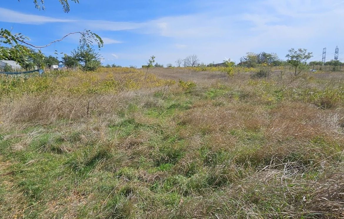 Teren intravilan 1.666 mp – Smârdan – Zonă în dezvoltare, 20 euro/mp - foto 5