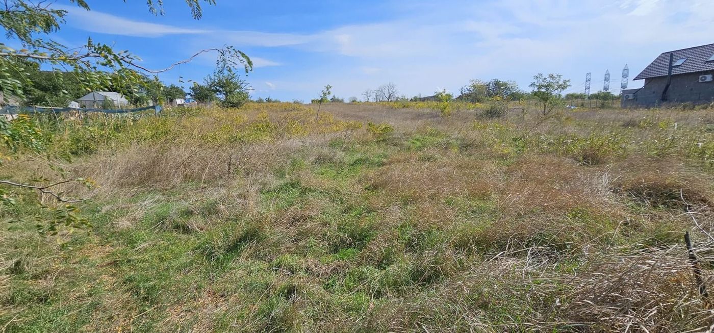 Teren intravilan 1.666 mp – Smârdan – Zonă în dezvoltare, 20 euro/mp - foto 5