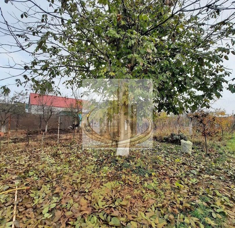 Casă individuală Plopi, 75 mp, teren 1.365 mp, 2 corpuri - foto 4