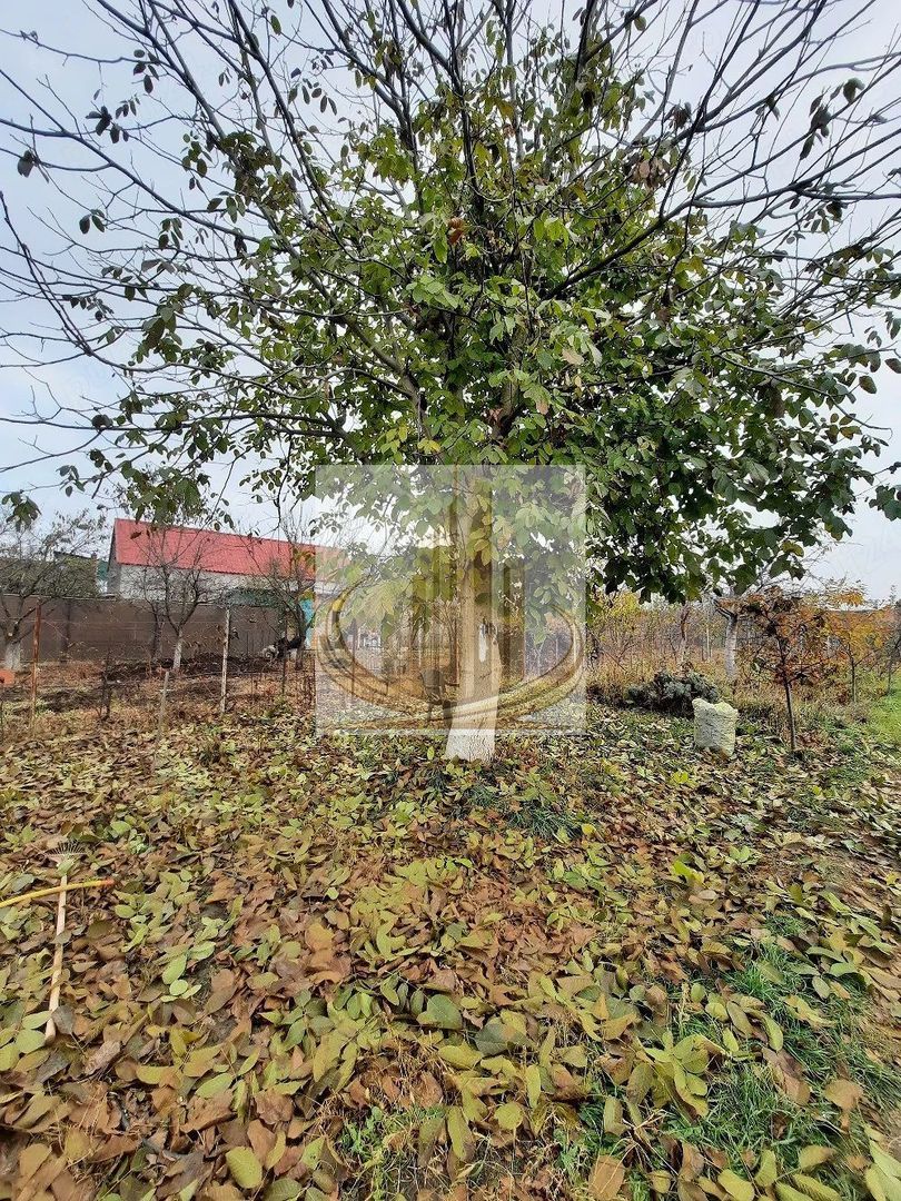 Casă individuală Plopi, 75 mp, teren 1.365 mp, 2 corpuri - foto 4 Casă individuală Plopi, 75 mp, teren 1.365 mp, 2 corpuri - foto 4