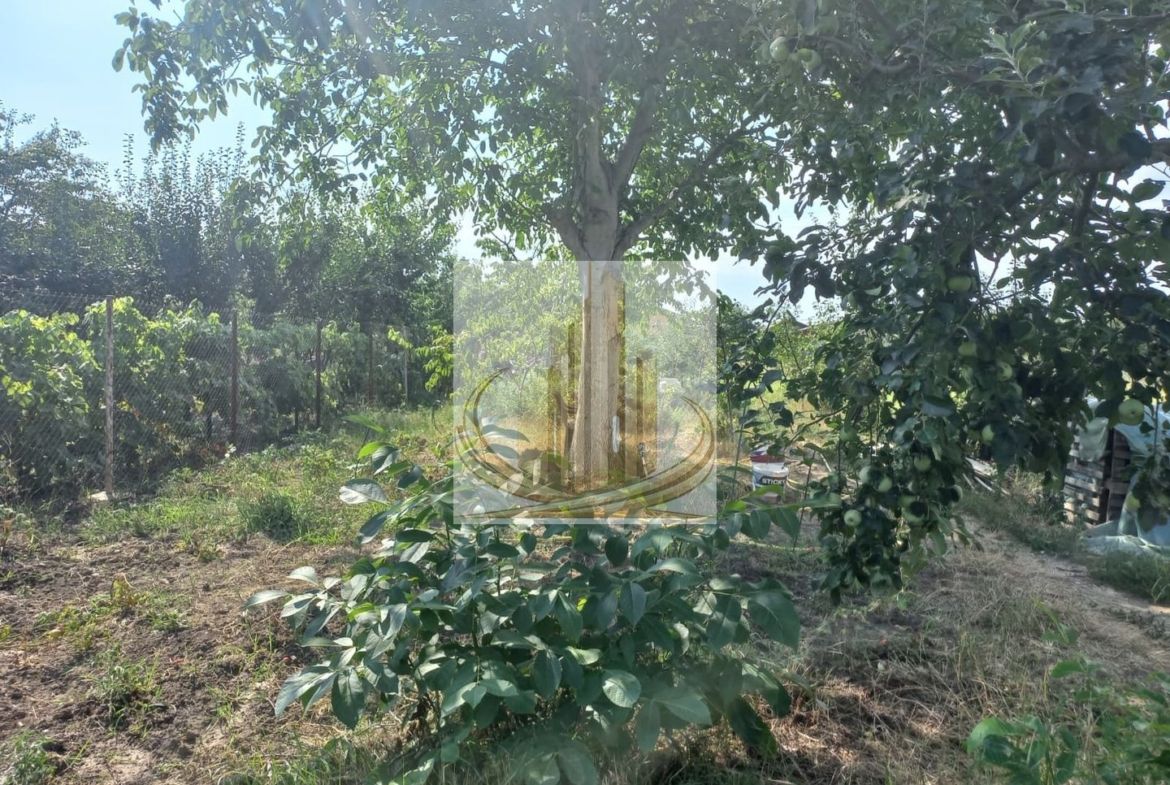 Casă individuală Plopi, 75 mp, teren 1.365 mp, 2 corpuri - foto 6