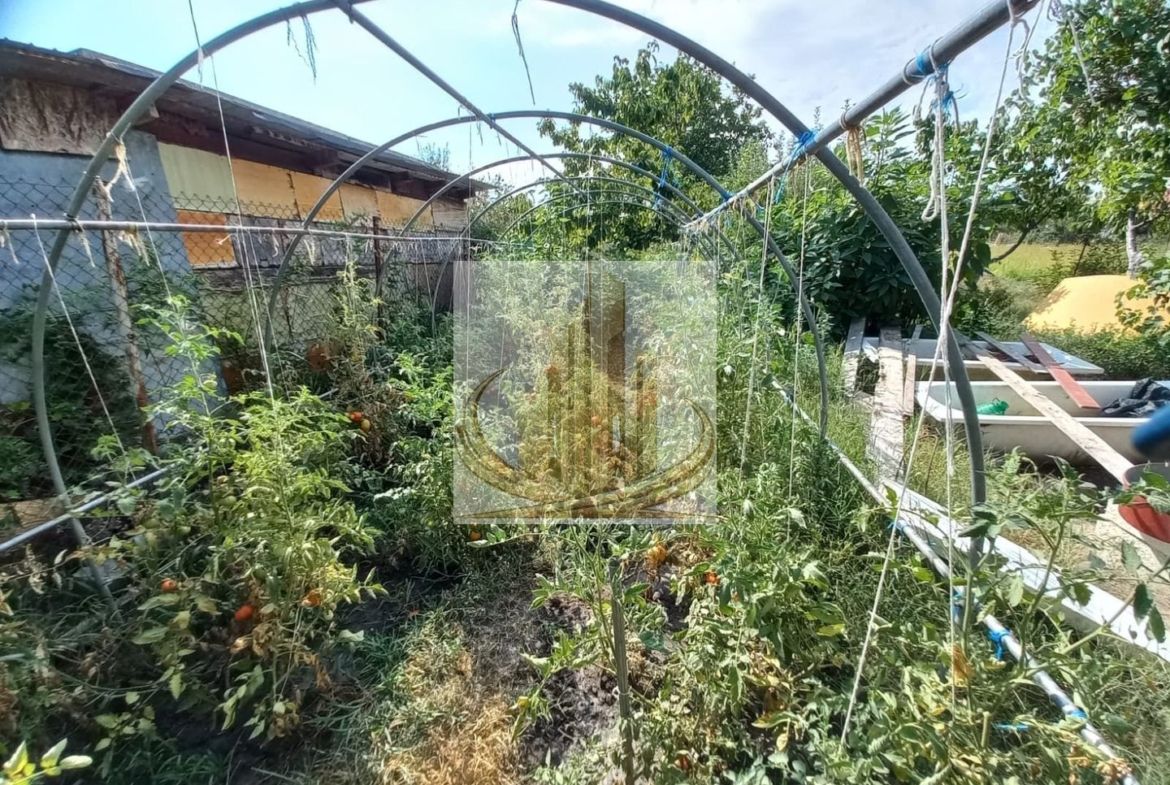 Casă individuală Plopi, 75 mp, teren 1.365 mp, 2 corpuri - foto 8