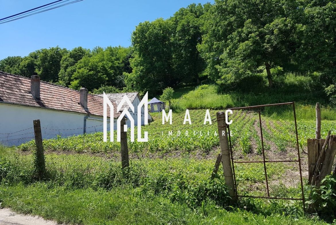 Teren Intravilan In Slimnic I 1000 mp I deschidere 15 m - foto 3