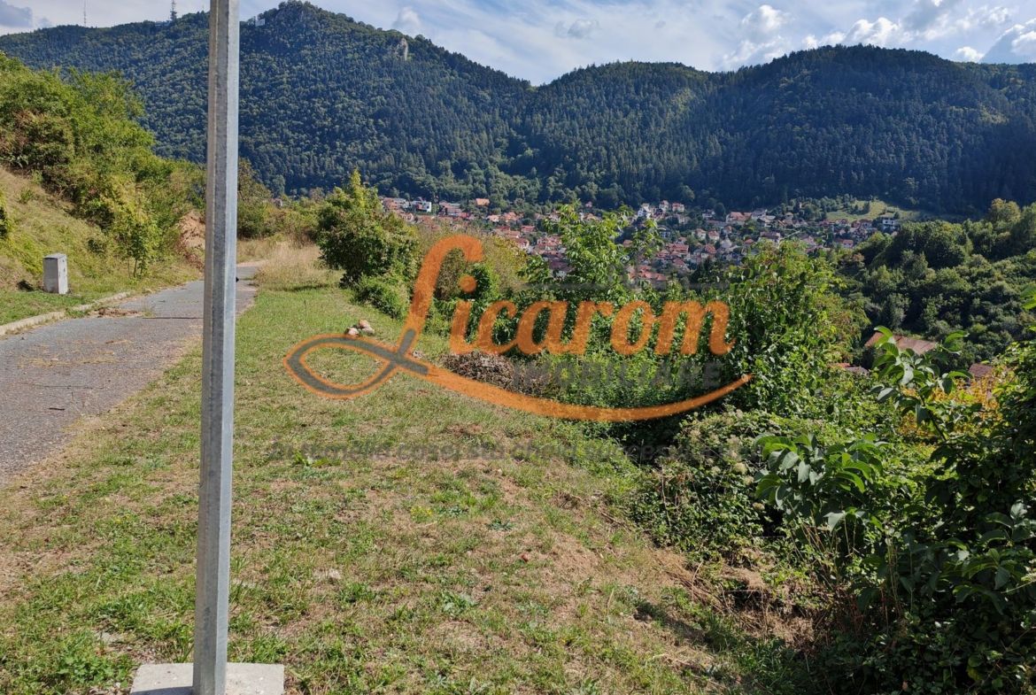 Teren Premium Drumul Poienii (Warthe)-5 Parcele de la 500 mp,270Eur/mp - foto 3