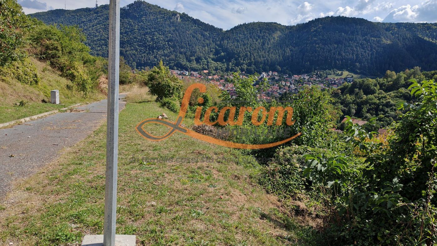 Teren Premium Drumul Poienii (Warthe)-5 Parcele de la 500 mp,270Eur/mp - foto 3