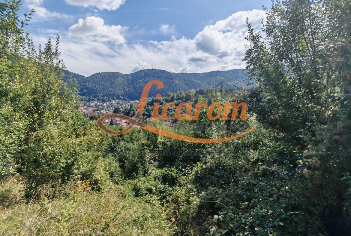 Teren Premium Drumul Poienii (Warthe)-5 Parcele de la 500 mp,270Eur/mp - foto 4