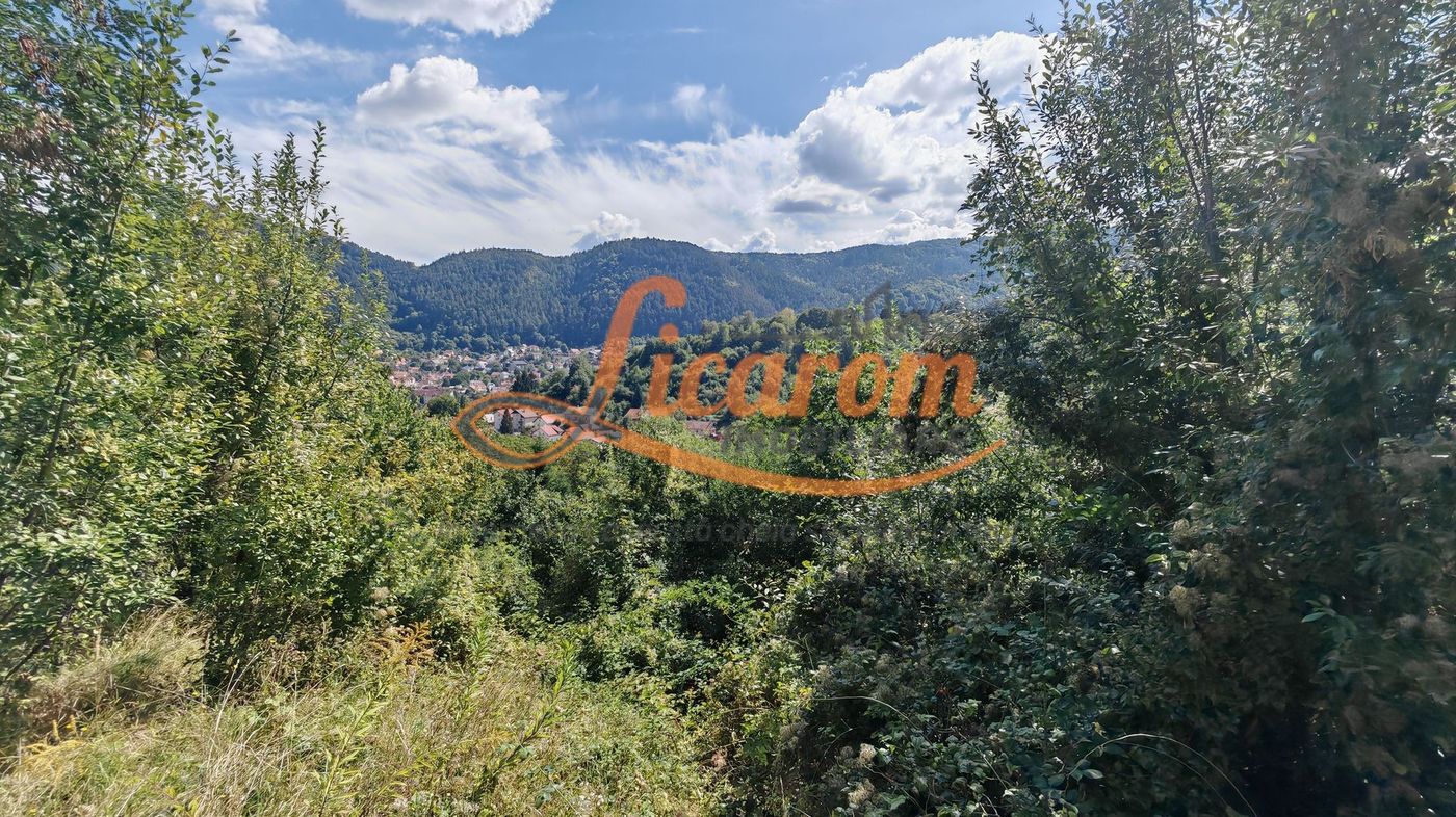 Teren Premium Drumul Poienii (Warthe)-5 Parcele de la 500 mp,270Eur/mp - foto 4