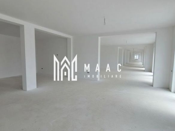 Spațiu Comercial | 364 mp | Open Space | Vitrine | D. Stanca - Imagine principala